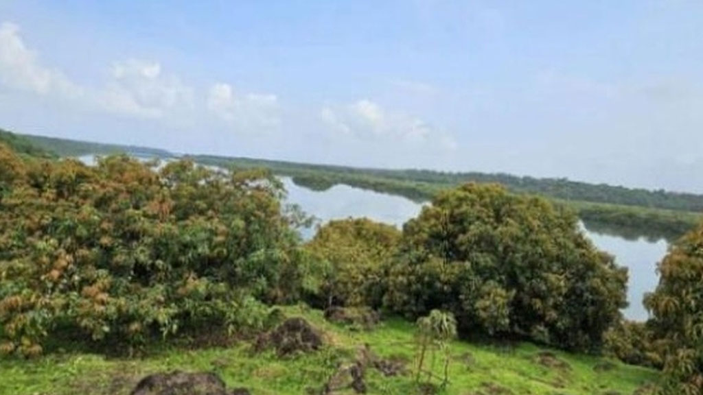 Image-1