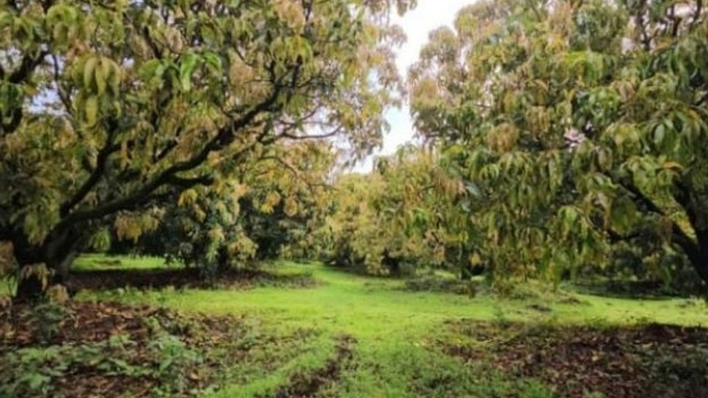 Image-2