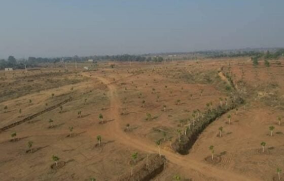 Nagaon Mega Land Bank