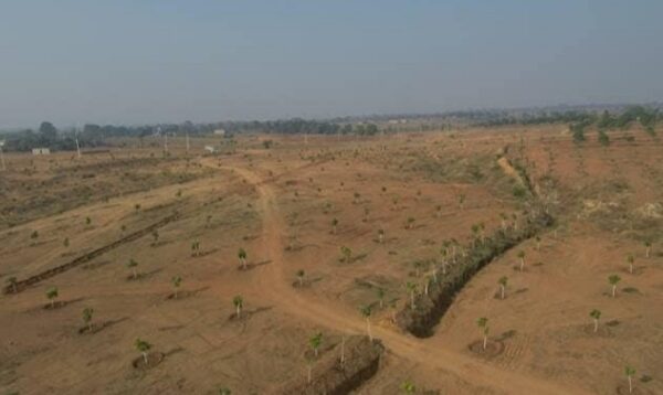 Nagaon Mega Land Bank 4
