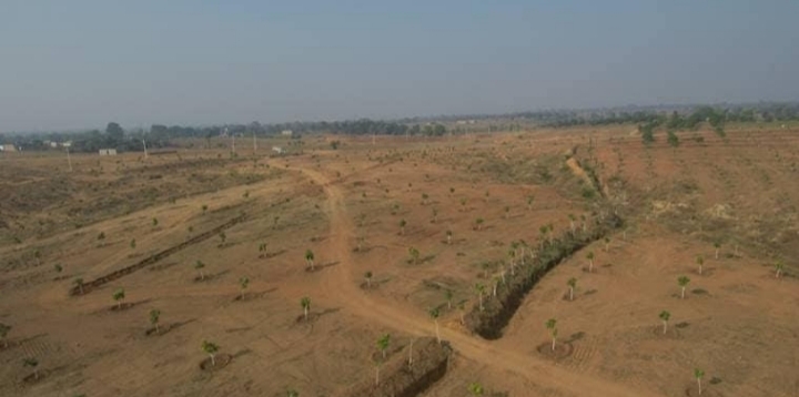 Nagaon Mega Land Bank 4